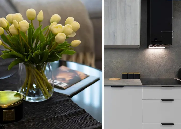 Апартаменты Elite Sienna Grobla Prestige Гданьск